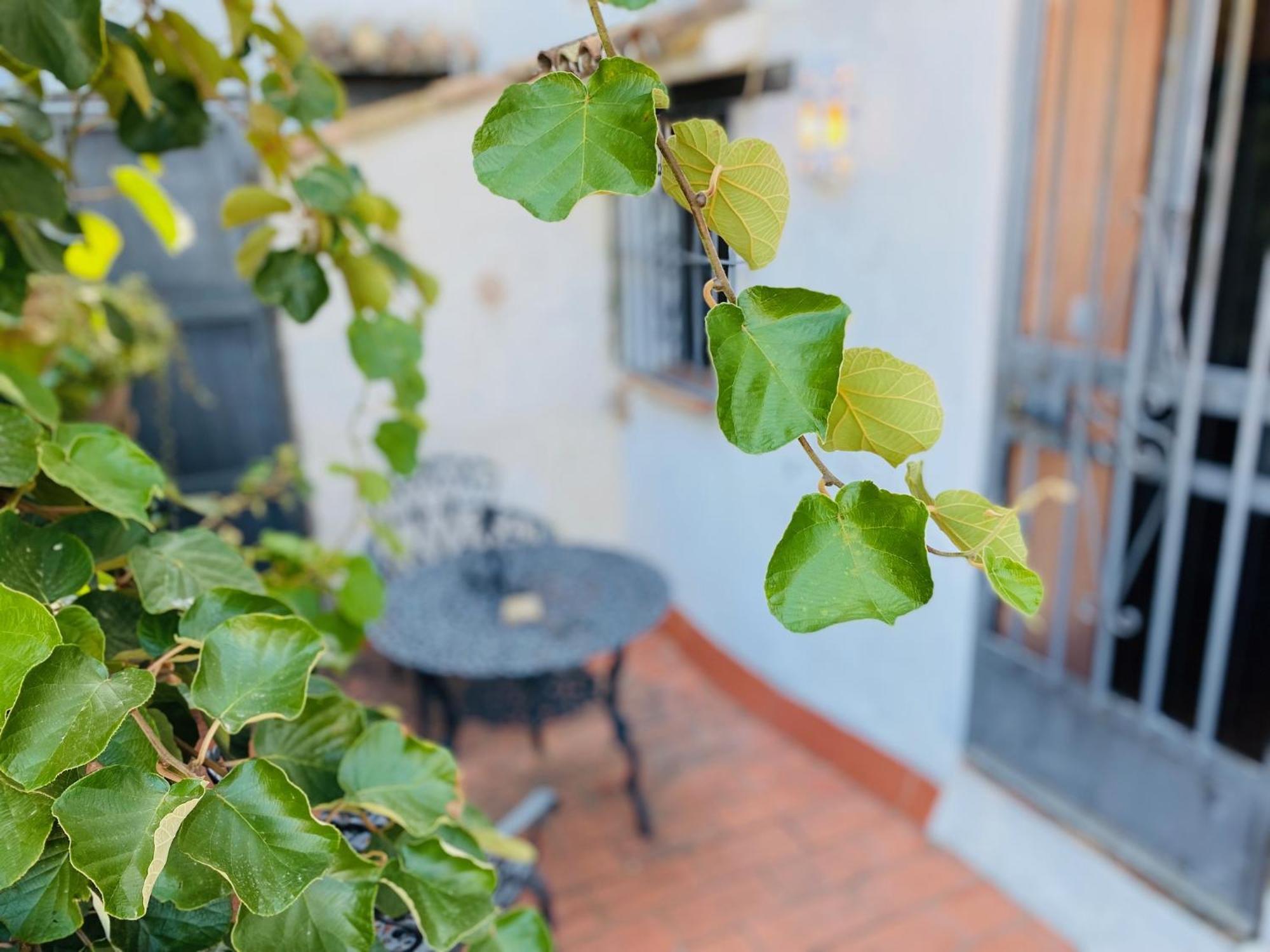 Posada La Casa Grande Jimena De La Frontera Eksteriør bilde